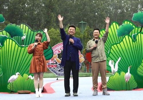 向阳哥哥爆料视频大全最新,揭秘娱乐圈幕后真相  第2张