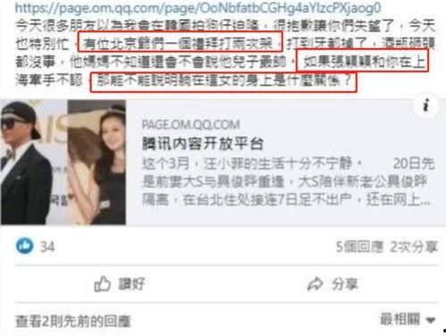 王小菲狗仔爆料视频大全,揭秘娱乐圈幕后真相  第2张