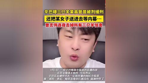 辛巴爆料三只羊内幕原视频,揭秘背后惊人真相  第3张